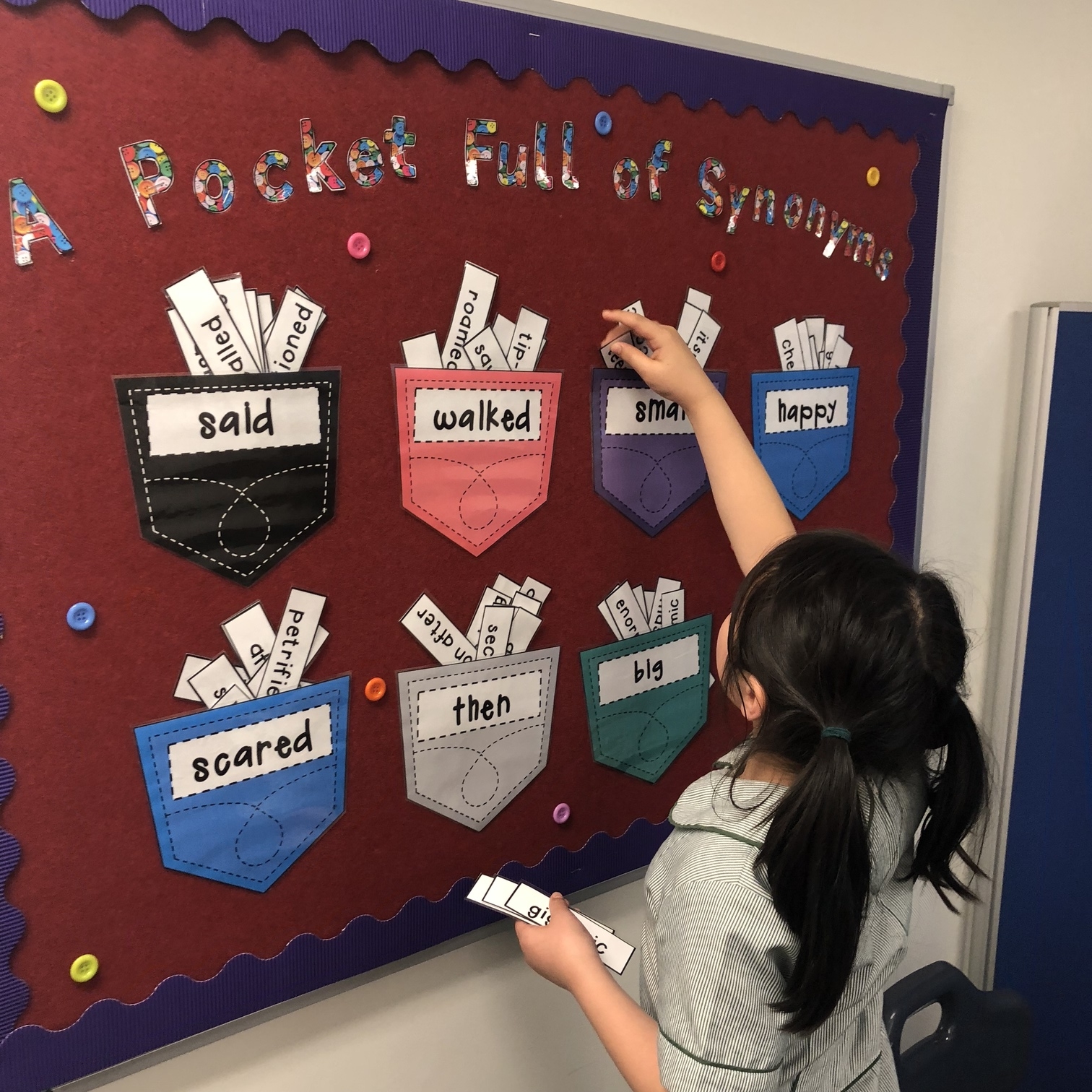 Educational Displays at Discover Learning Primary School Tutoring